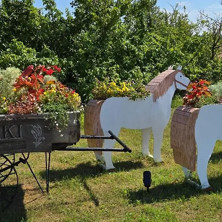 Semesterbostad Rukki Puhkemaja